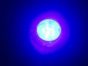 MARINE RV BOAT TRAILER 6 LED BLUE CEILING COURTESY LIGHT S.S. RI